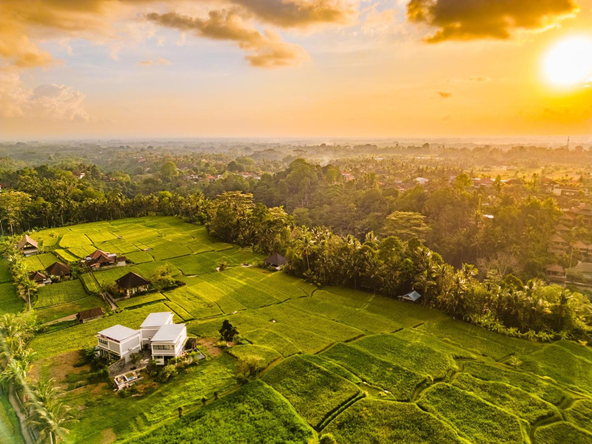 Maple Ridge Ubud Villas Dış mekan fotoğraf