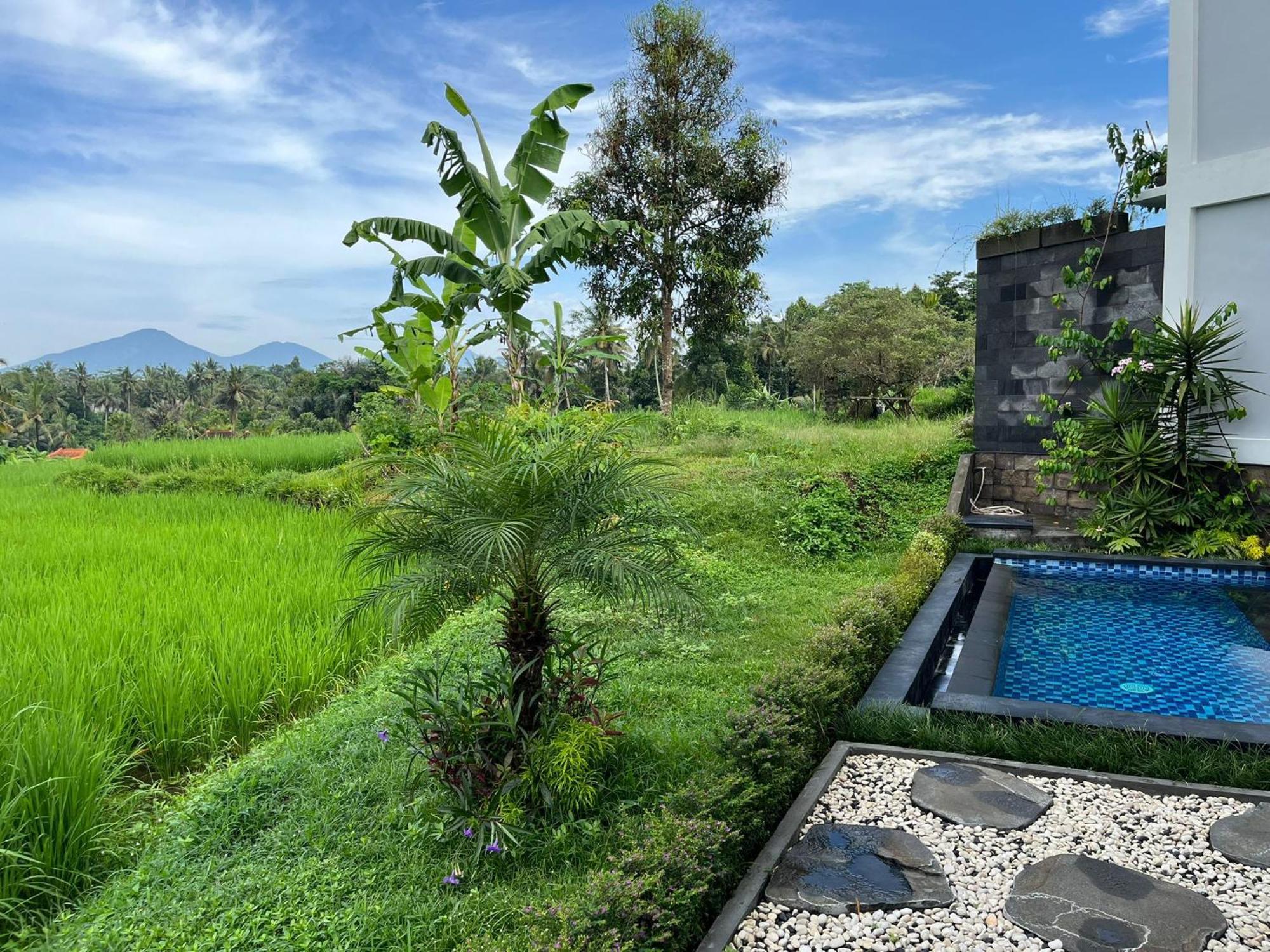 Maple Ridge Ubud Villas Dış mekan fotoğraf