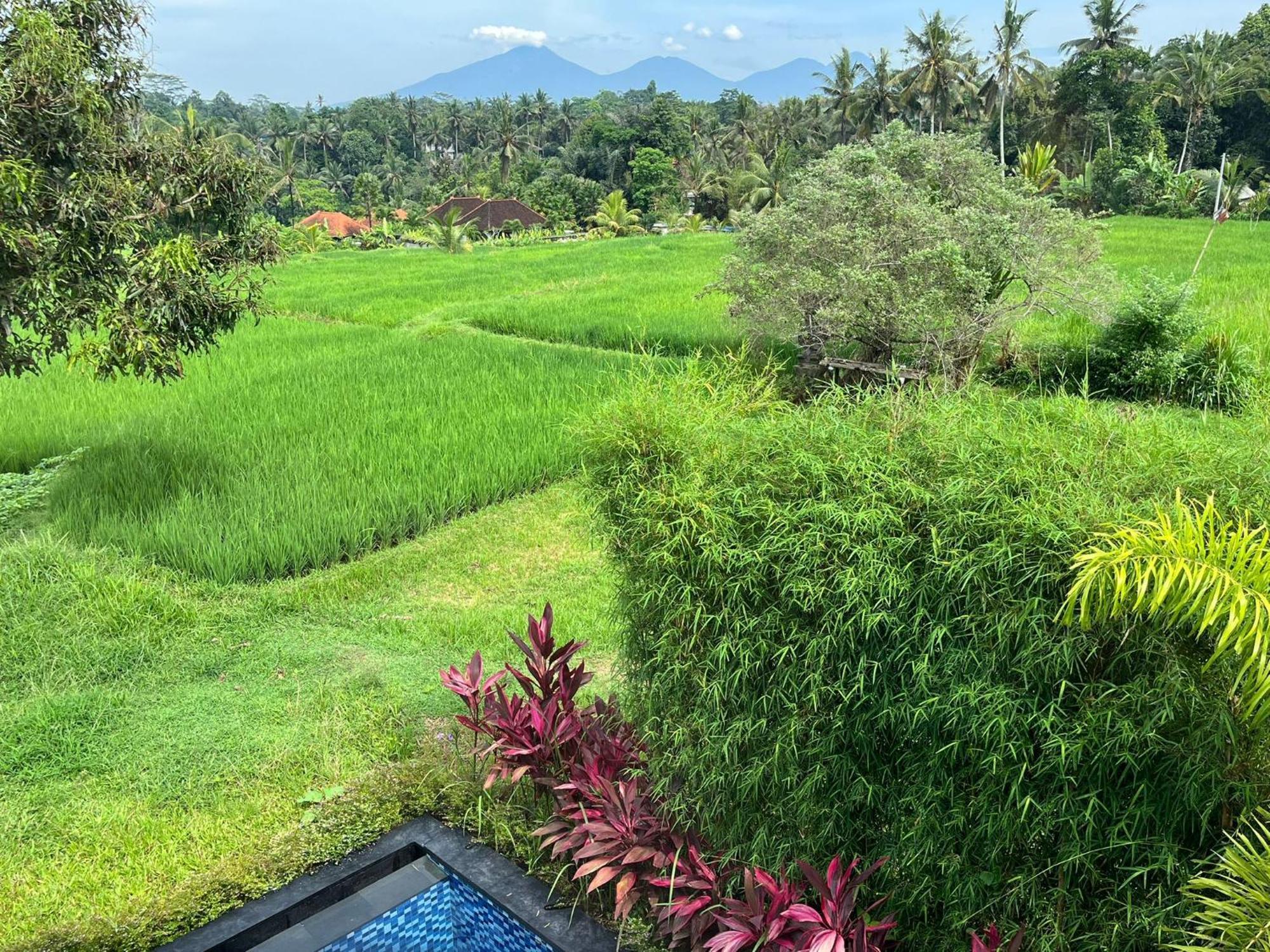 Maple Ridge Ubud Villas Dış mekan fotoğraf