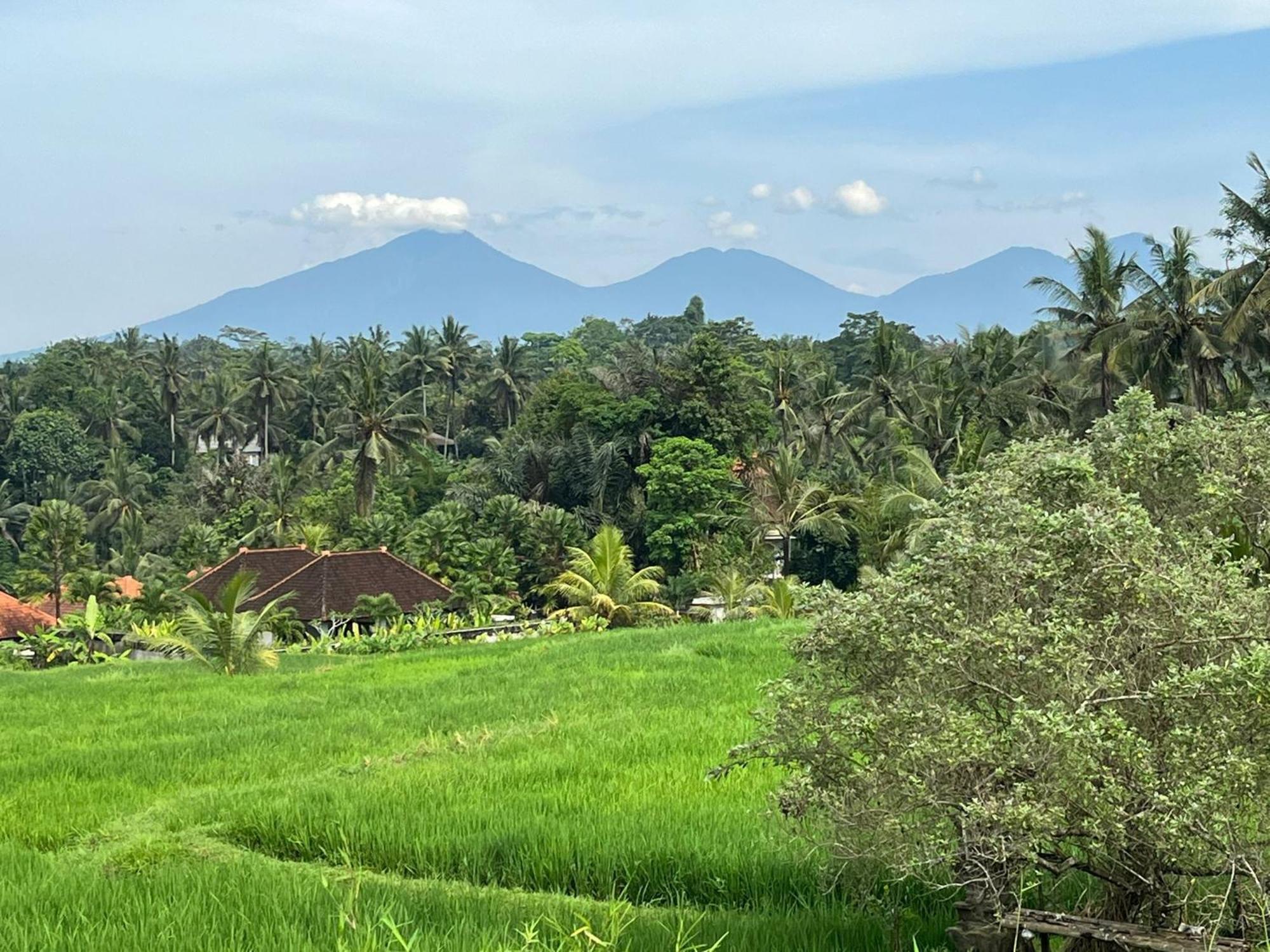 Maple Ridge Ubud Villas Dış mekan fotoğraf